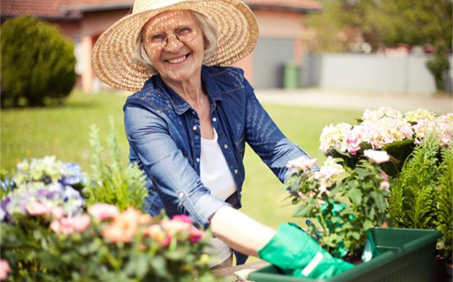 Gardening for Seniors: How to Start and Where to Find Support